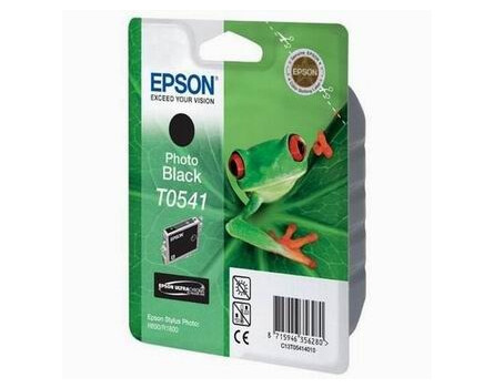 Epson T0541, C13T05414010 (čierna) - originálne